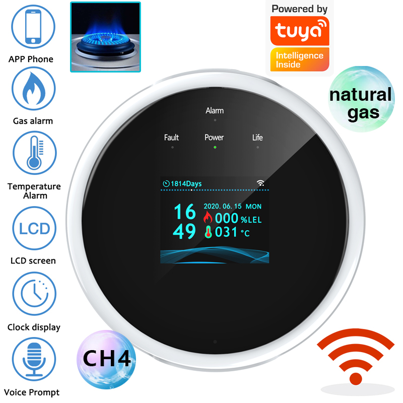 Czujnik gazu 2.4G WiFi, detekt – Home Security System recenzja i cena